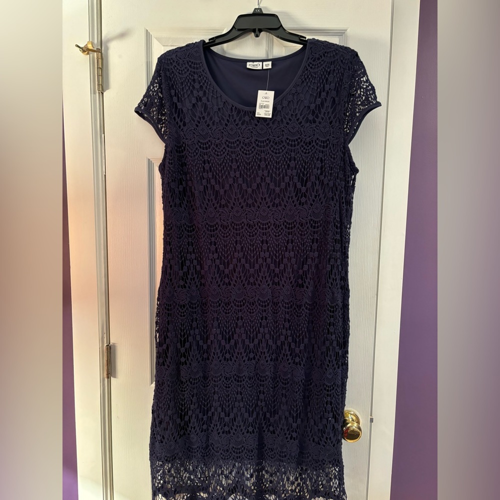 CATO NWT navy lace dress